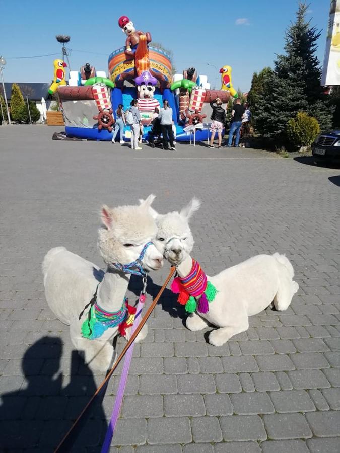 Maka I Magia Obiady Domowe Hotel Zambrow Exteriér fotografie